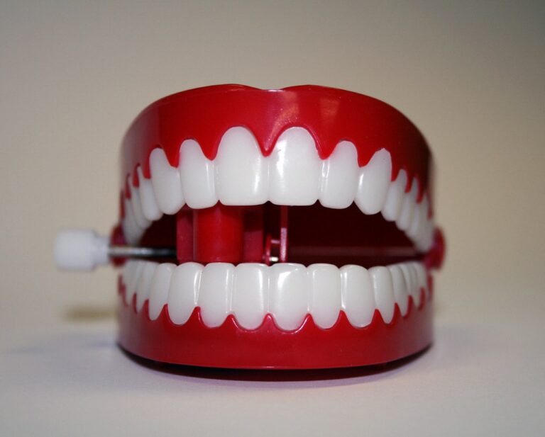 Chompers NYT Crossword: An Exploration of Teeth Terminology